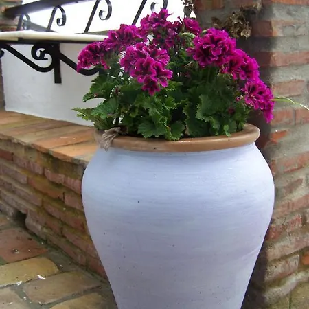 Apartamento Vivienda De Rural Casa Naty Vejer de la Frontera